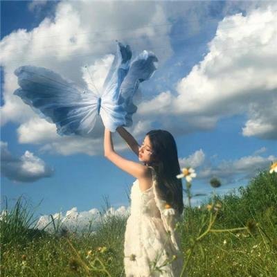 三凤震武林